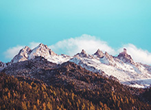 九游体育APP：用指尖点燃每一场体育热情的全新体验